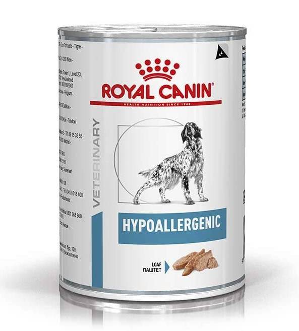 RC-Hypoallergenic-dog