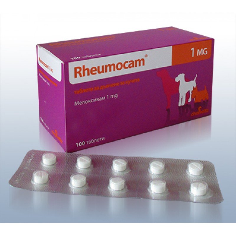 rheumocam-tabletki-1mg-800x800
