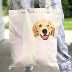 Ceger Retriver