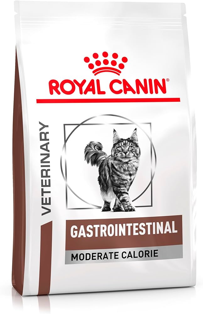 gastro cat