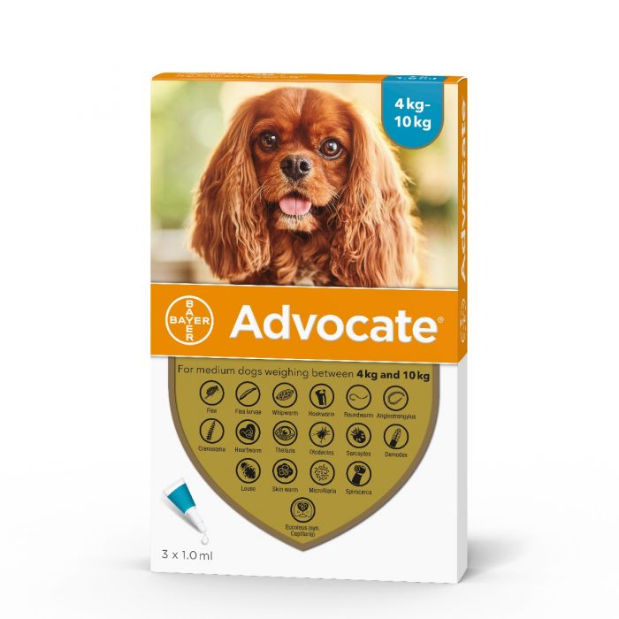 advocate-dog-4-10kg